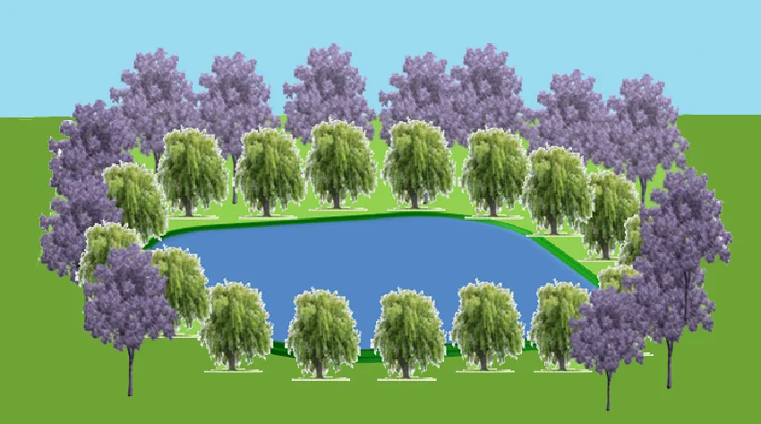 Disegno di un piccolo bacino circondato da vegetazione