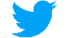 Twitter-Logo_p