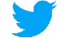 Twitter-Logo_p