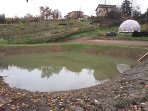 Laghetto per la conservazione dell'acqua piovana nella sede di Salsomaggiore